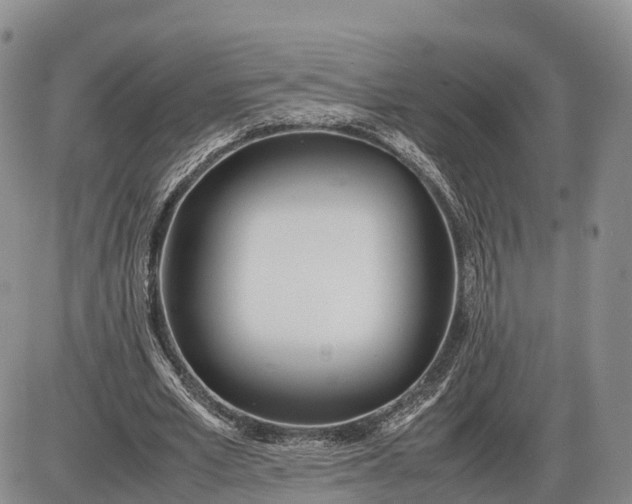 X0000085210581200703231509