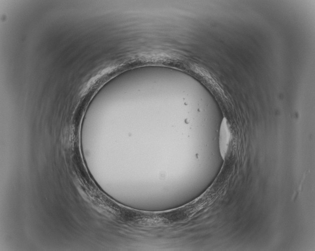 X0000085210583200703231509