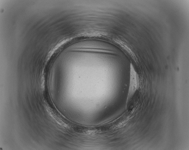 X0000085210584200703231509