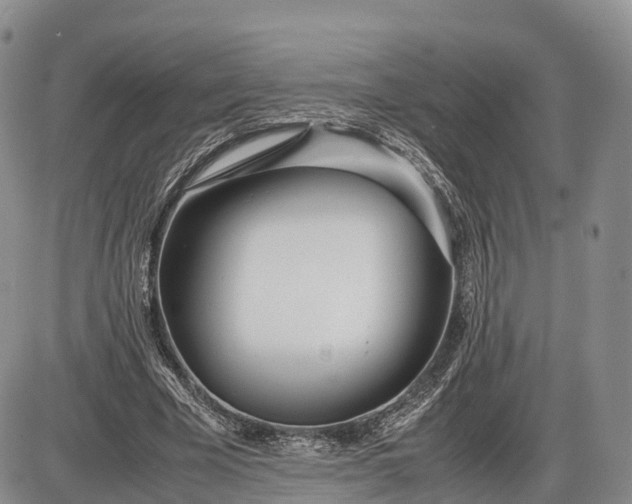 X0000085210585200703231509