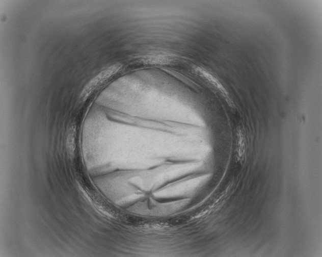 X0000085210586200703231509