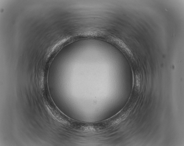 X0000085210588200703231509