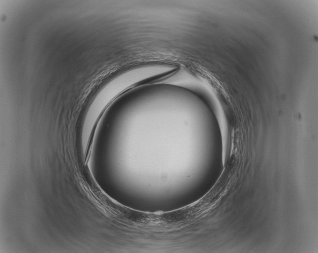 X0000085210589200703231509