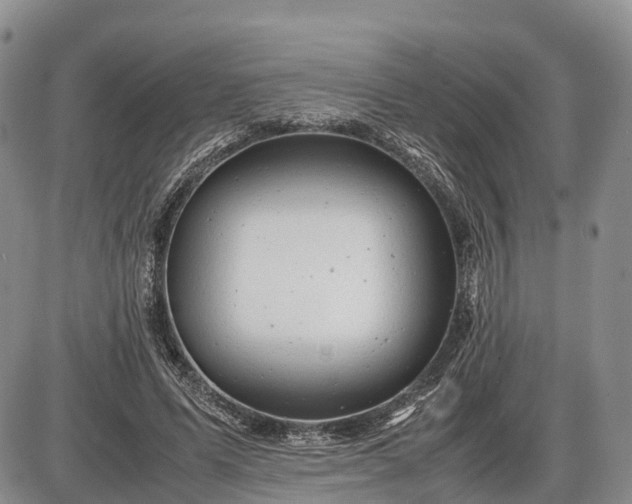 X0000085210591200703231509