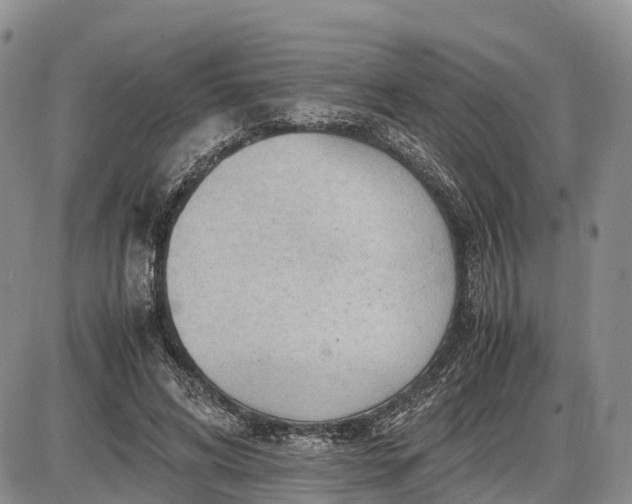 X0000085210592200703231509