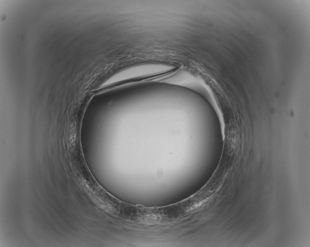 X0000085210593200703231509