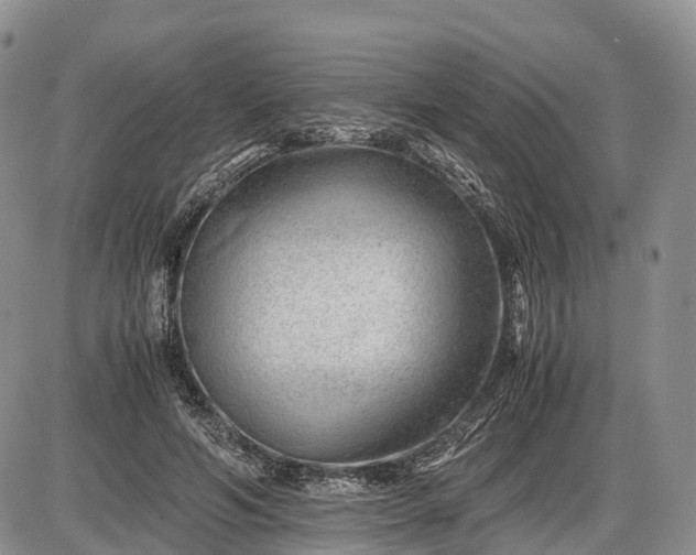 X0000085210594200703231509