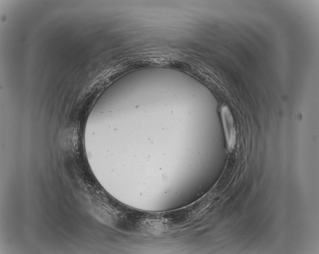 X0000085210595200703231509