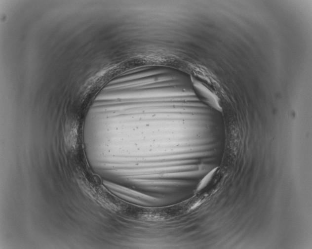 X0000085210596200703231509