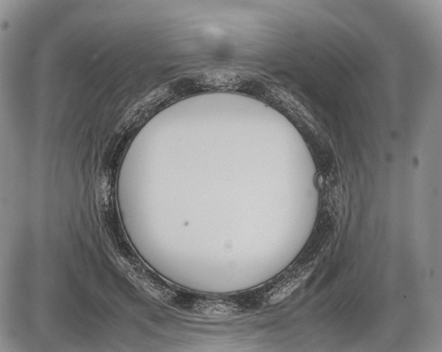 X0000085210597200703231509