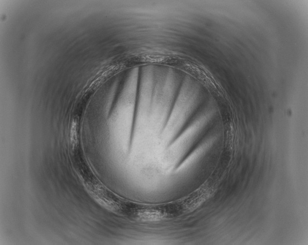 X0000085210598200703231509