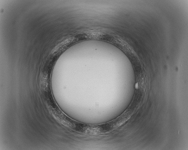 X0000085210599200703231509