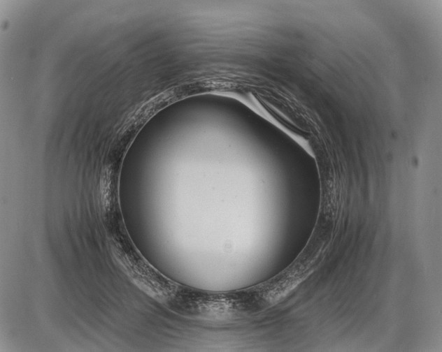 X0000085210600200703231509