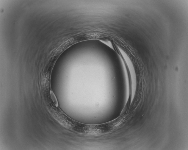 X0000085210601200703231509