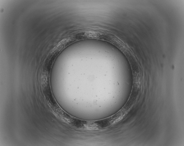 X0000085210603200703231509