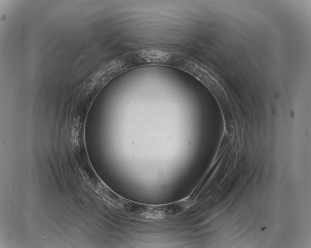 X0000085210604200703231509