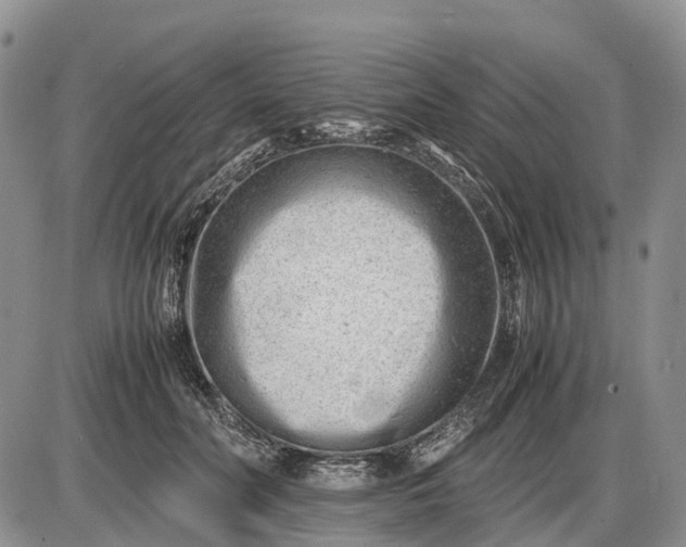 X0000085210606200703231509