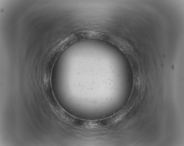 X0000085210607200703231509