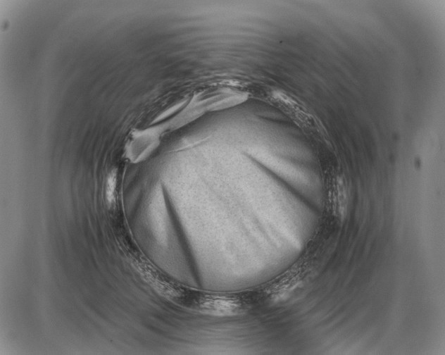 X0000085210610200703231509