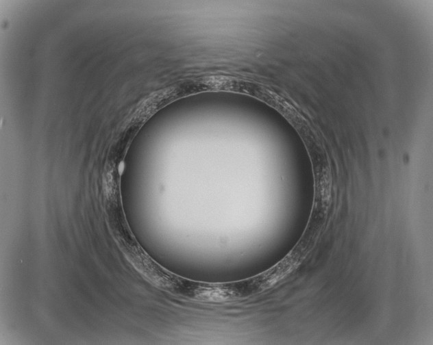 X0000085210611200703231509