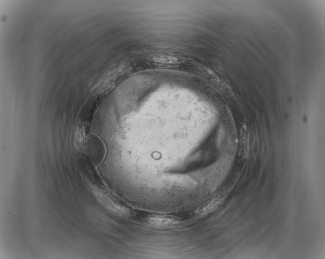 X0000085210614200703231508