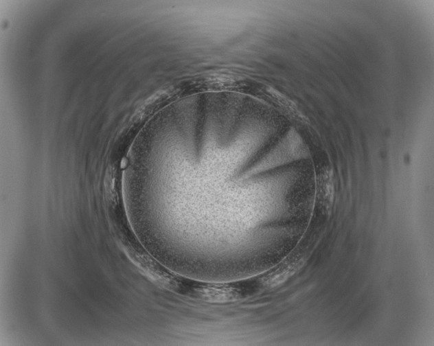 X0000085210615200703231508