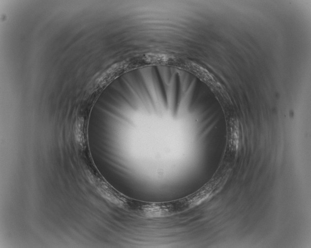 X0000085210616200703231508