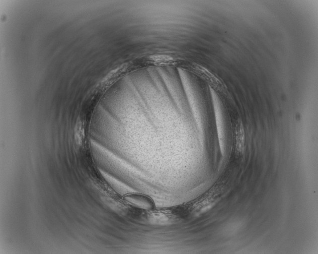 X0000085210618200703231508