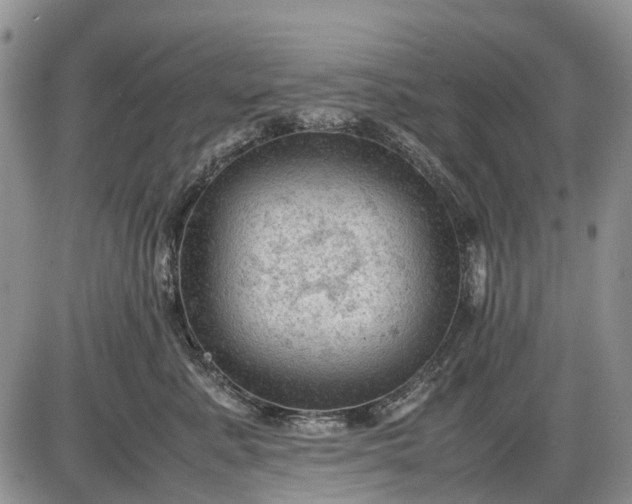 X0000085210619200703231508