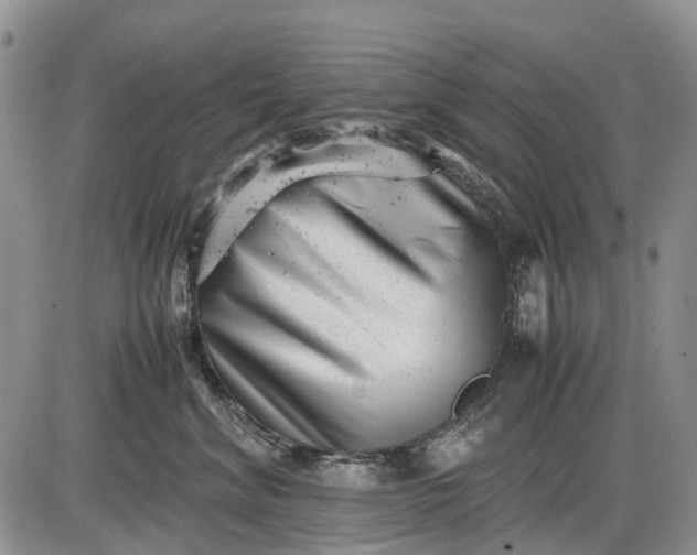 X0000085210620200703231508