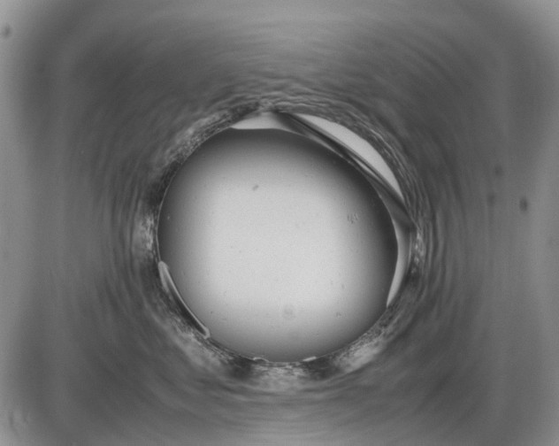 X0000085210621200703231508