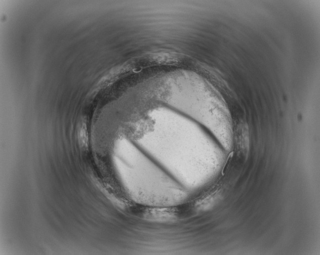 X0000085210622200703231508