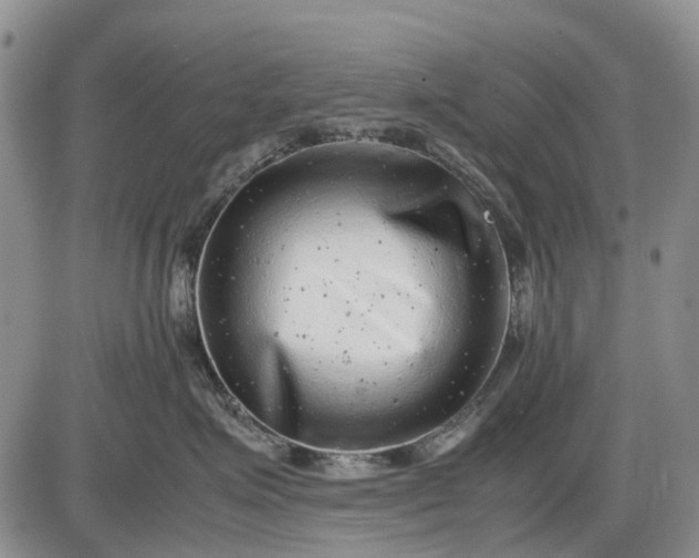 X0000085210623200703231508