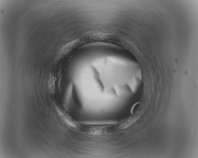 X0000085210624200703231508