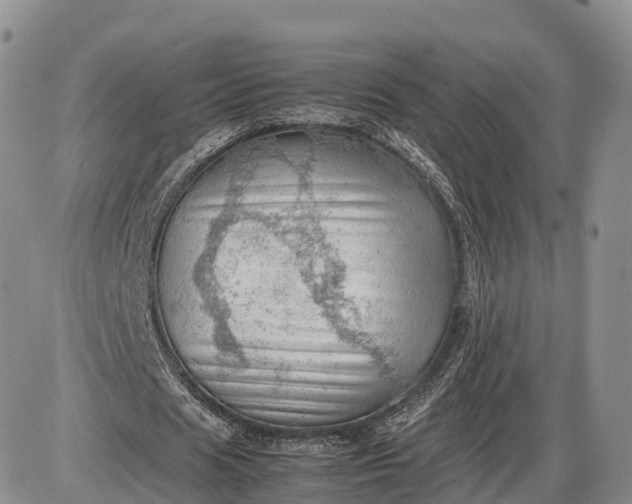 X0000085210625200703231508