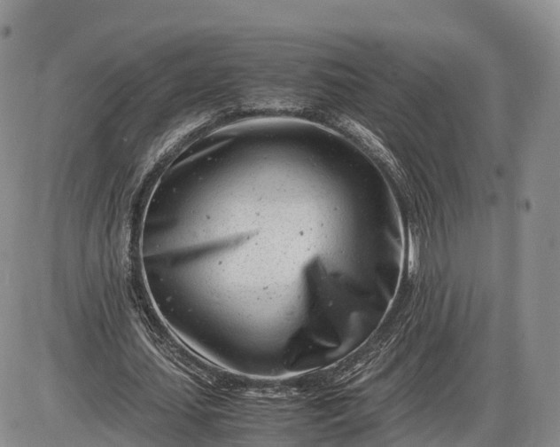 X0000085210627200703231508