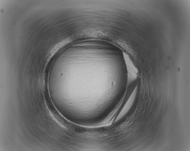 X0000085210630200703231508