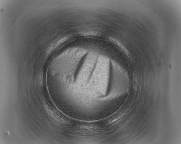 X0000085210631200703231508