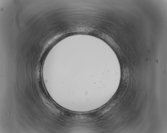 X0000085210632200703231508