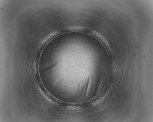 X0000085210633200703231508