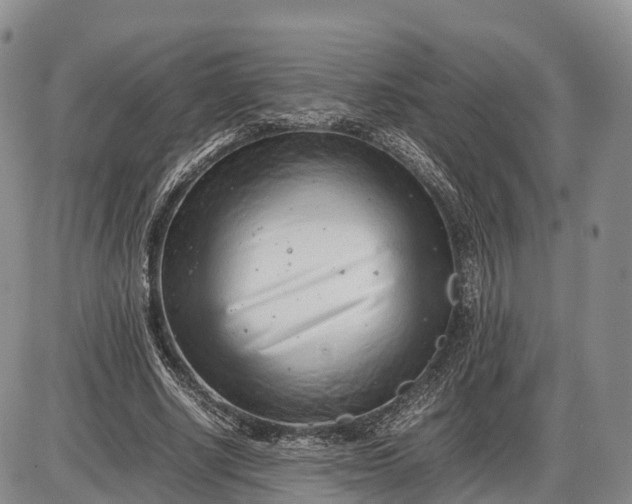 X0000085210634200703231508