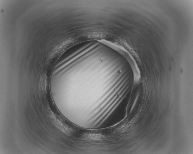 X0000085210637200703231508