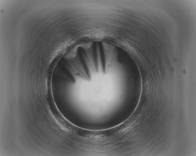 X0000085210638200703231508