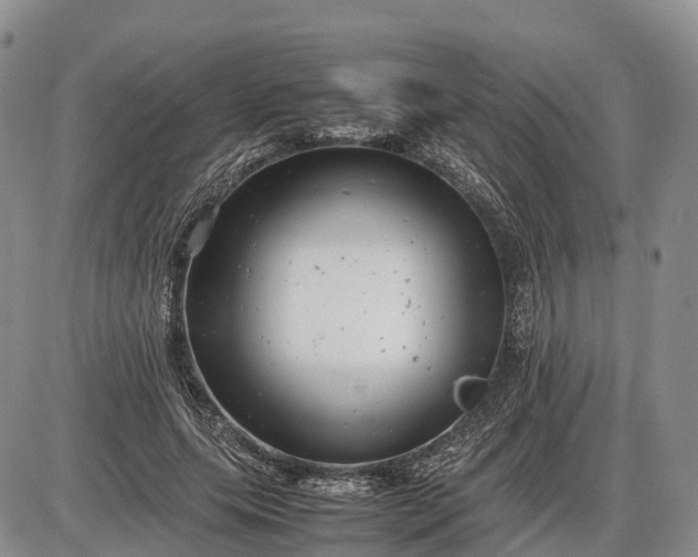 X0000085210639200703231508