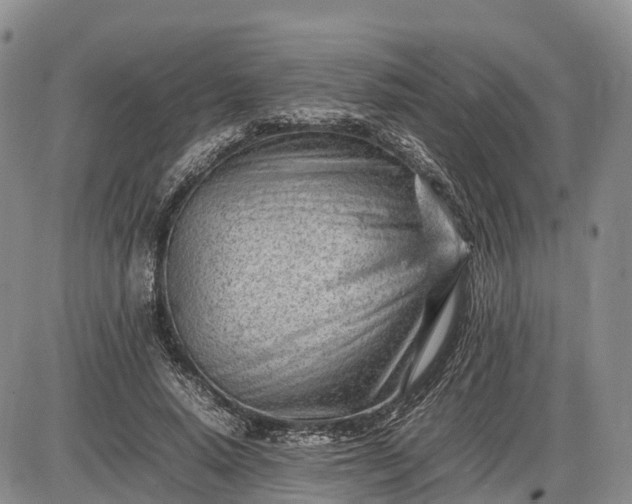 X0000085210640200703231508