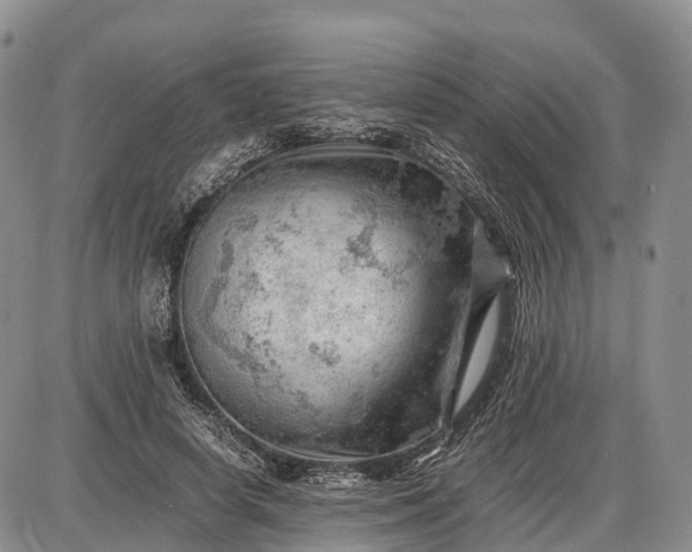 X0000085210642200703231508