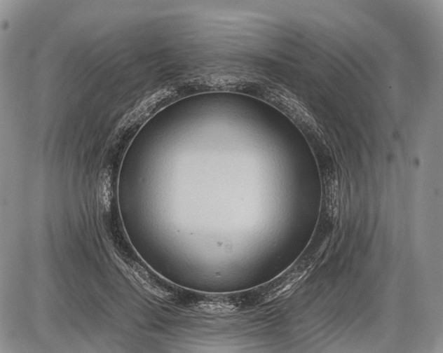 X0000085210644200703231508