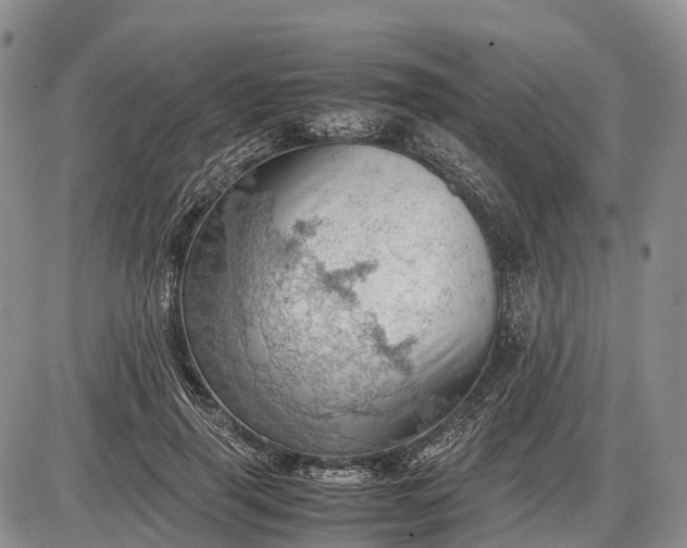 X0000085210645200703231508