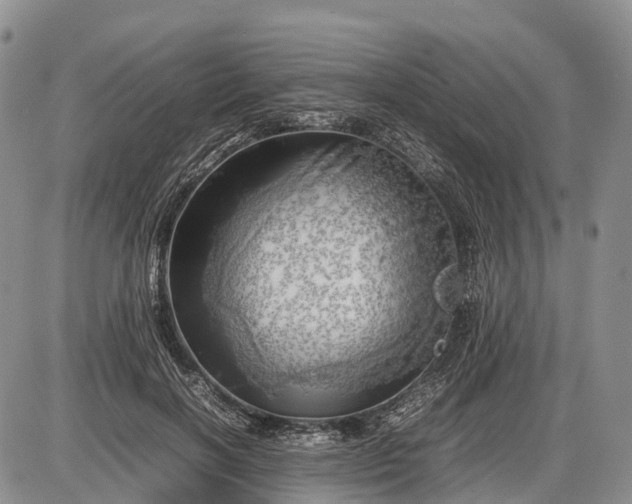 X0000085210646200703231508