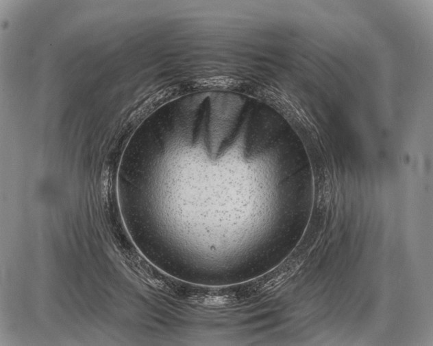 X0000085210647200703231508